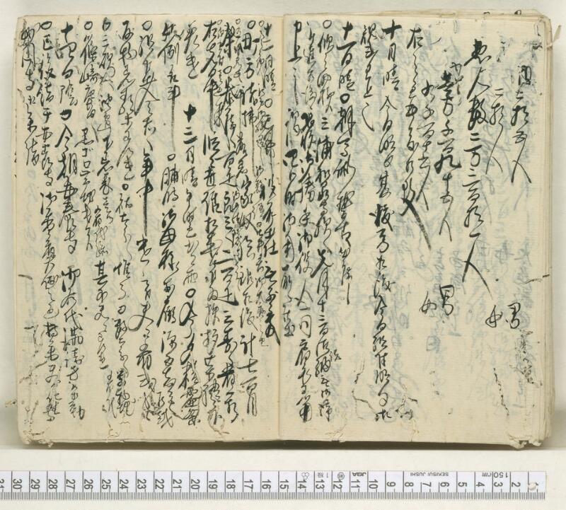 A084文政五壬午年　日録 - ページ 12